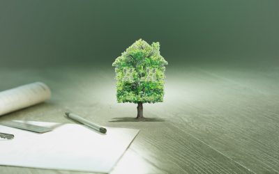 L’immobilier inversé : Quand les maisons se vendent aux enchères inversées